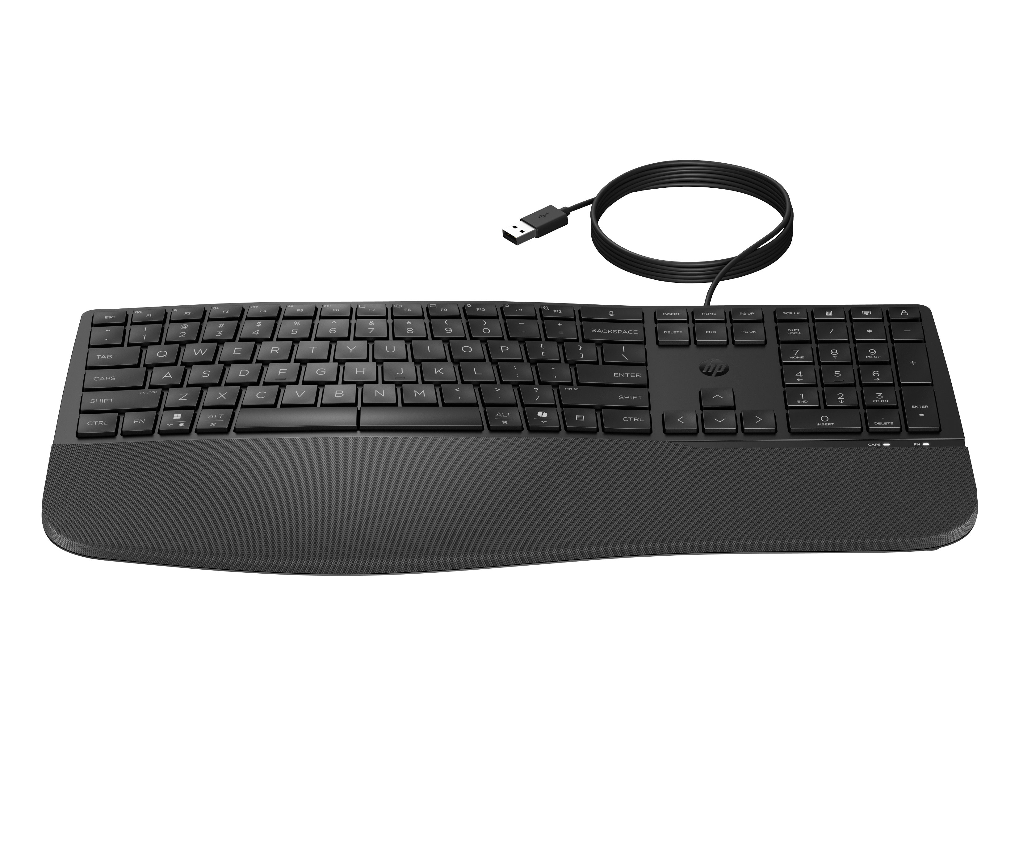 HP 485 WIRED KEYBOARD(P)
